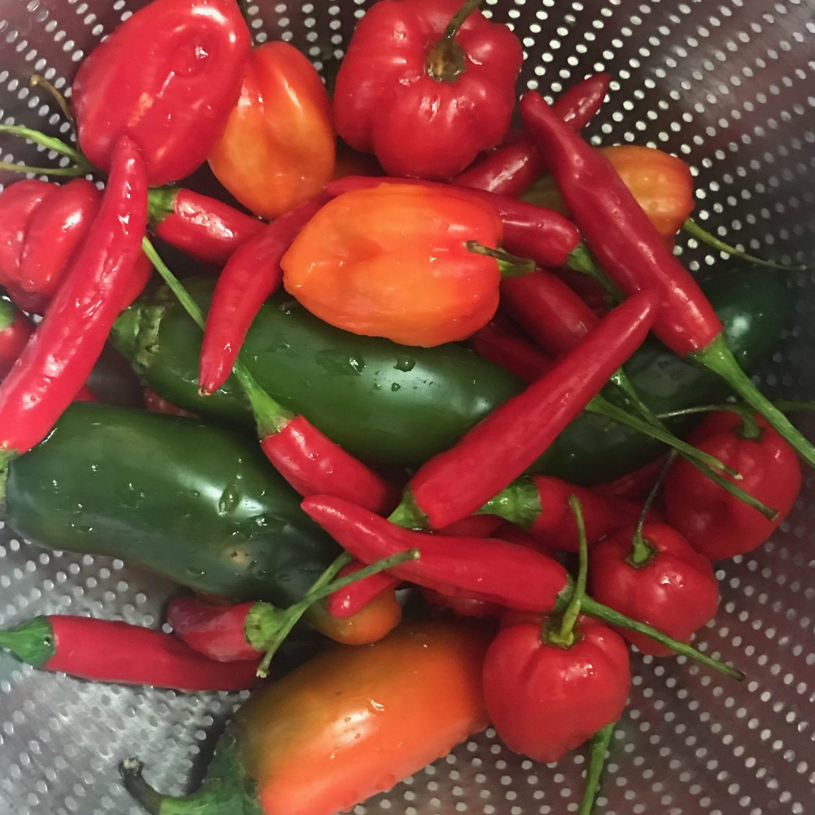 A variety of hot peppers