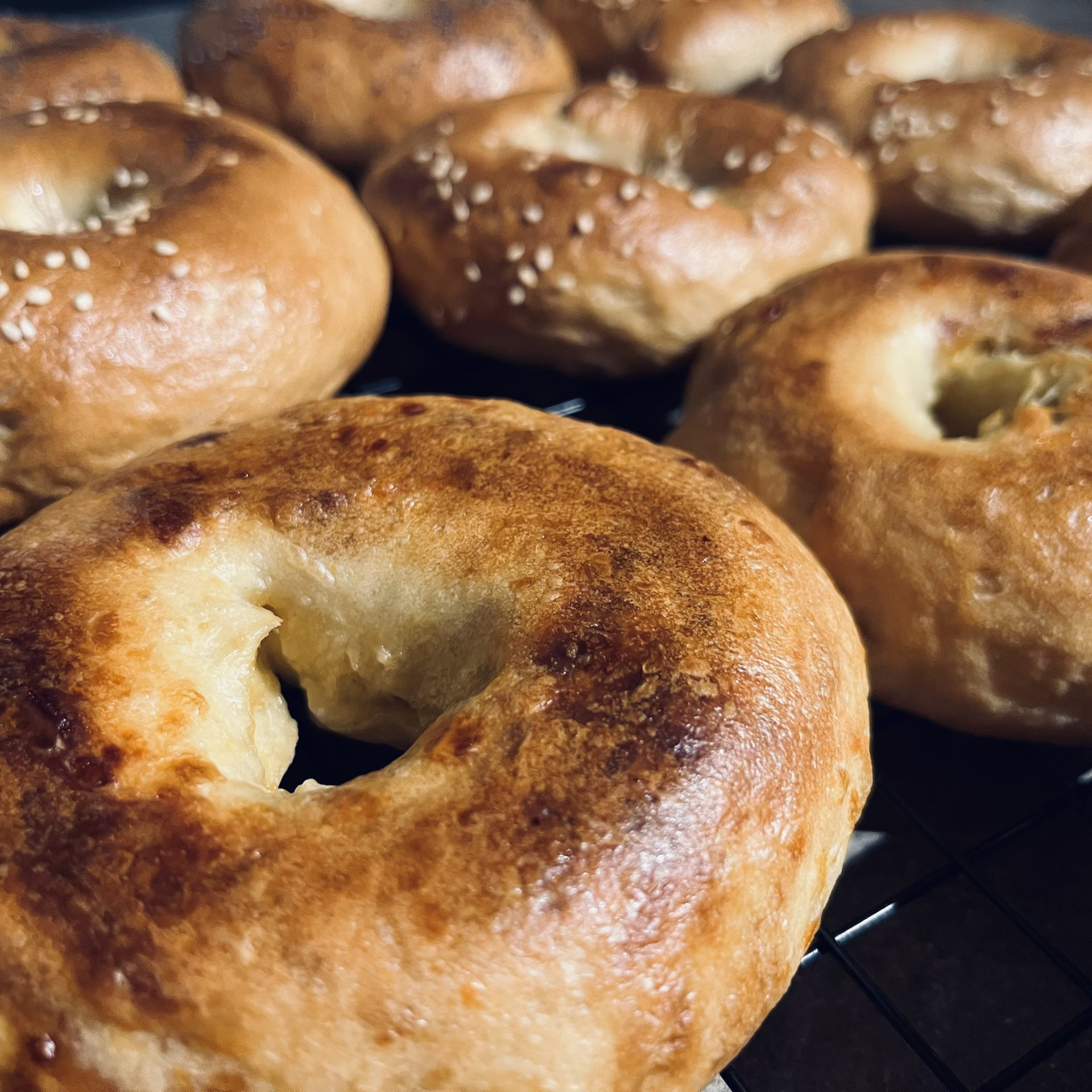 homemade bagels cooling on a wire rack