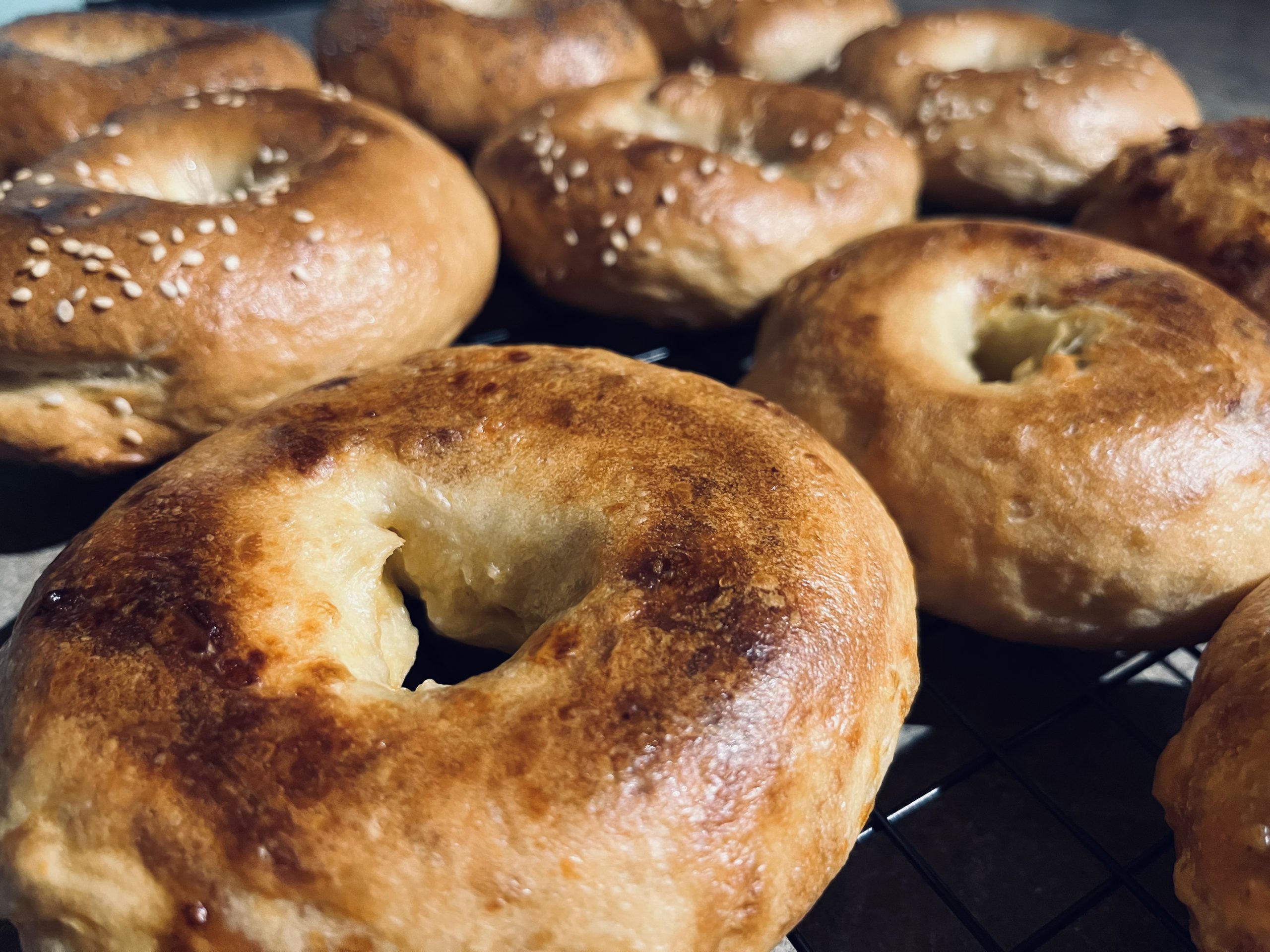 homemade bagels cooling on a wire rack