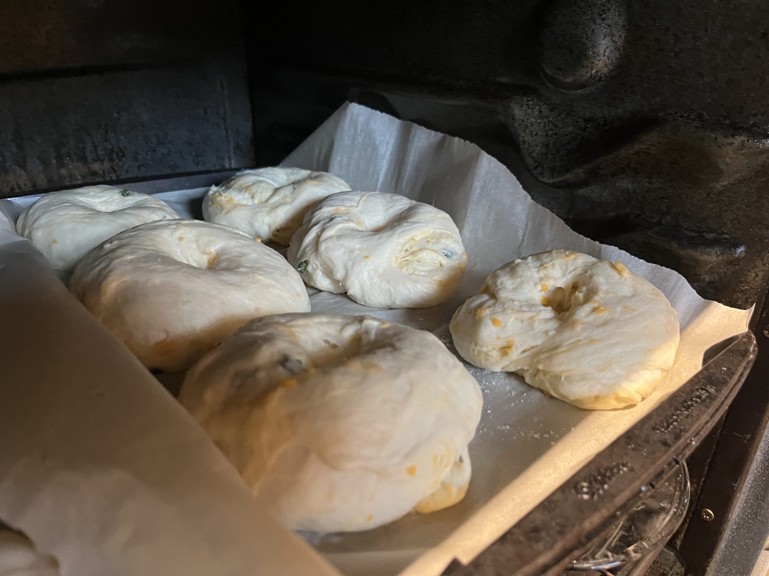 homemade cheddar jalalpeno bagel in oven